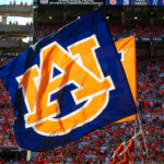 Auburn tigers